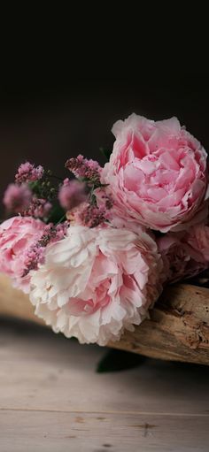 pink and white flowers sitting on top of a piece of driftwood next to a wooden stick