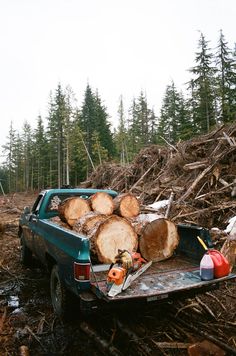 a truck is loaded with logs and other items in the back, along with pine trees