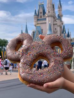 a person holding up a giant donut with sprinkles in front of a castle