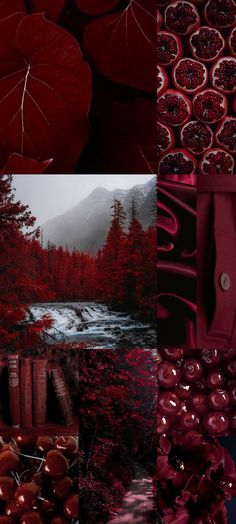 a collage of red and black images with trees, water, and mountains in the background