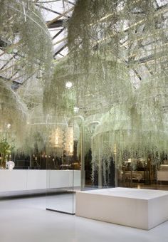 the inside of a building with glass walls and plants hanging from it's ceiling