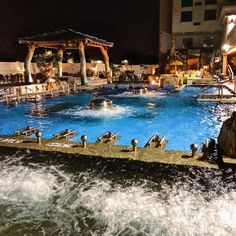 an outdoor swimming pool at night with chairs and umbrellas in the water next to it