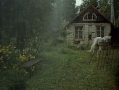 a white horse standing in front of a house on a lush green field with yellow flowers