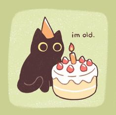 a black cat sitting next to a birthday cake