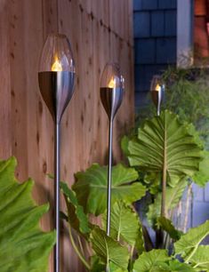 two glass candles are lit in front of some plants