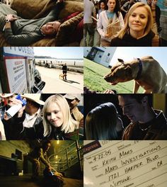 collage of photos with people and animals at an outdoor event in the daytime, including one man holding a sign