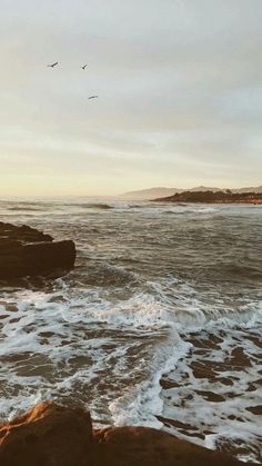 two birds flying over the ocean with waves coming in to shore and one bird sitting on rocks