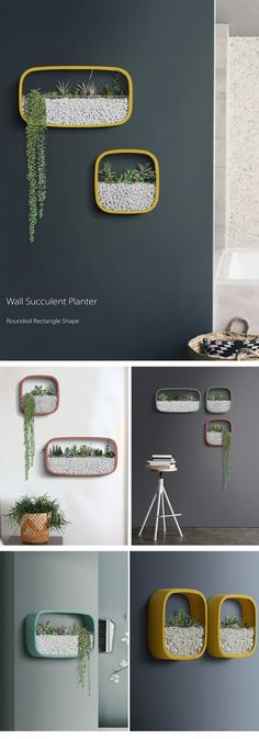 several different pictures of plants hanging on the wall and below them are photos of various planters, including one with succulents