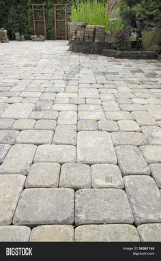 an outdoor patio with stone pavers in the middle and green plants on either side