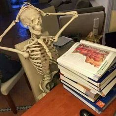 a skeleton sitting on top of a stack of books in front of a couch with a cat