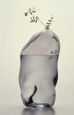 a glass vase filled with water and a plant sticking out of it's top