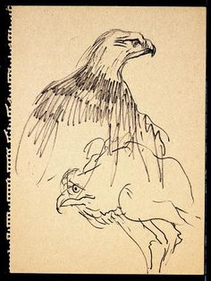 a drawing of an eagle on the back of a horse