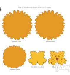 an image of different shapes and sizes of flowers