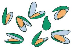 several different shapes and sizes of leaves on a white background, with green and orange colors