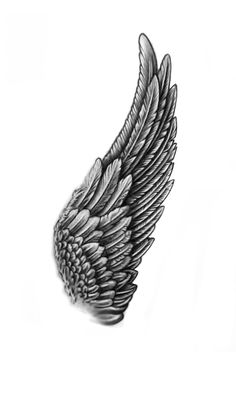 a drawing of an angel wing on a white background