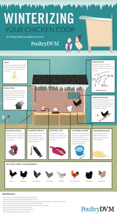 the winterizing your chicken coop poster is shown with pictures and instructions for how to use it