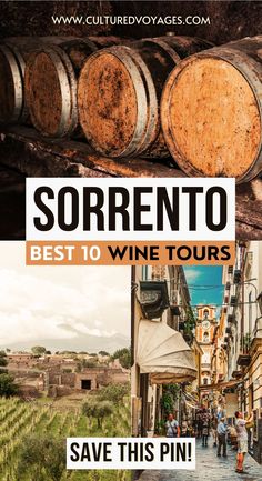 wine tours in sorrento, italy with text overlay reading best 10 wine tours save this pin