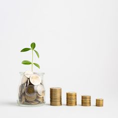 a glass jar filled with coins and a plant growing out of it