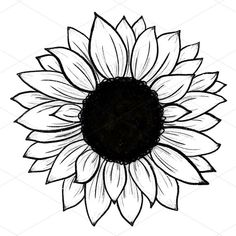 a drawing of a sunflower with black and white lines on the bottom half of it