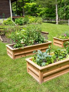 three wooden raised garden beds with plants growing in them on the grass next to a house