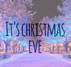 the words it's christmas eve are lit up in front of trees and benches