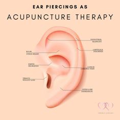 ear piercings as acupunture therapy info poster with description on pink background