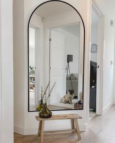 a dog is sitting on the floor in front of a large mirror with an arched frame