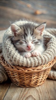 a small kitten sleeping in a basket on top of a wooden floor with it's eyes closed