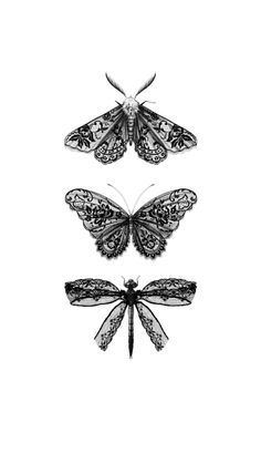 three butterflies with intricate designs on them, one is black and the other is white