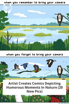 two panels showing different types of birds in the woods and on the water, with text that