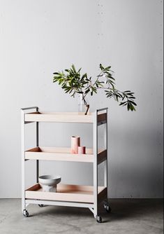 a plant is sitting on top of a three tiered shelf with bowls and cups