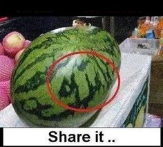 a large watermelon sitting on top of a pile of fruit