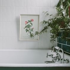 a white bath tub sitting next to a green plant in a bathroom under a picture on the wall