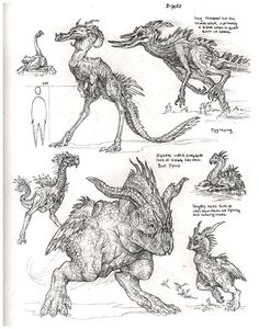 some drawings of different types of animals