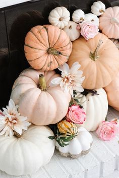 a bunch of pumpkins sitting on top of a table