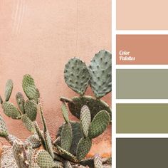 the color scheme is peach, green and brown with cactuses in it's foreground