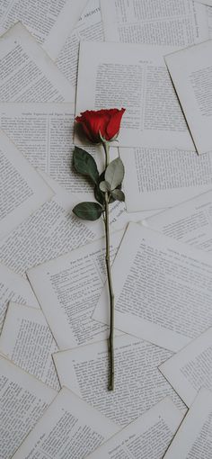 a single red rose sitting on top of an old book page covered in pages that have been folded down