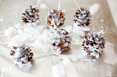 pine cones are sitting on top of snow