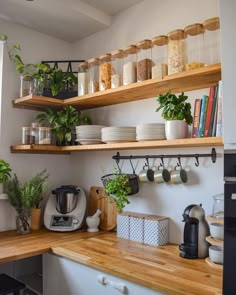 the kitchen is clean and ready for us to use it's shelves are filled with plants