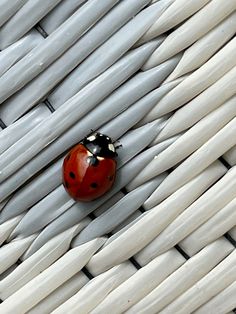 a lady bug sitting on top of white wicker