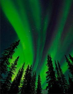 the aurora bore is visible in the night sky