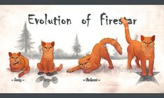 an image of four orange cats in the snow with caption that says evolution of firestar