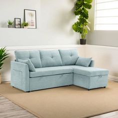 a blue sectional sofa sitting on top of a rug in a living room next to a potted plant