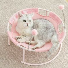 a cat sitting in a pink chair on the floor