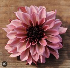 a pink flower sitting on top of a wooden table