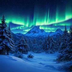 the aurora bore is shining brightly in the sky above snow covered trees and evergreens