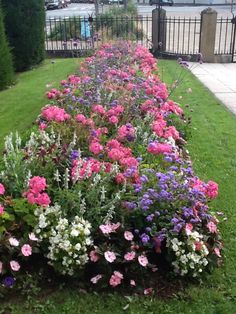 colorful flowers line the side of a long row of grass in front of a fence