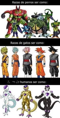 the different types of dragon ball characters in spanish and english, with caption for each character