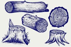 wood logs and stumps drawn in blue ink