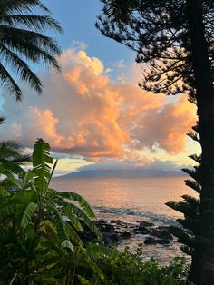 the sun is setting over the ocean and some trees